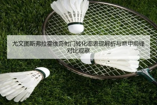 尤文图斯弗拉霍维奇射门转化率表现解析与意甲前锋对比观察